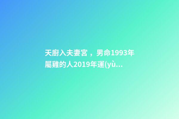天廚入夫妻宮，男命1993年屬雞的人2019年運(yùn)程